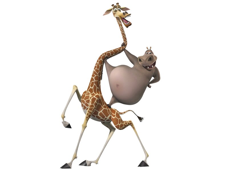 Giraffe and Hippo