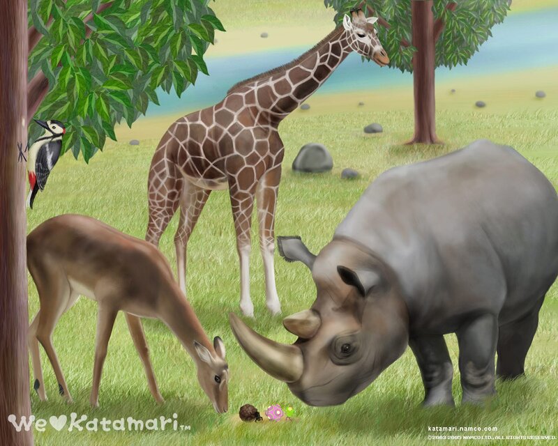 Giraffe and Rhino in Field