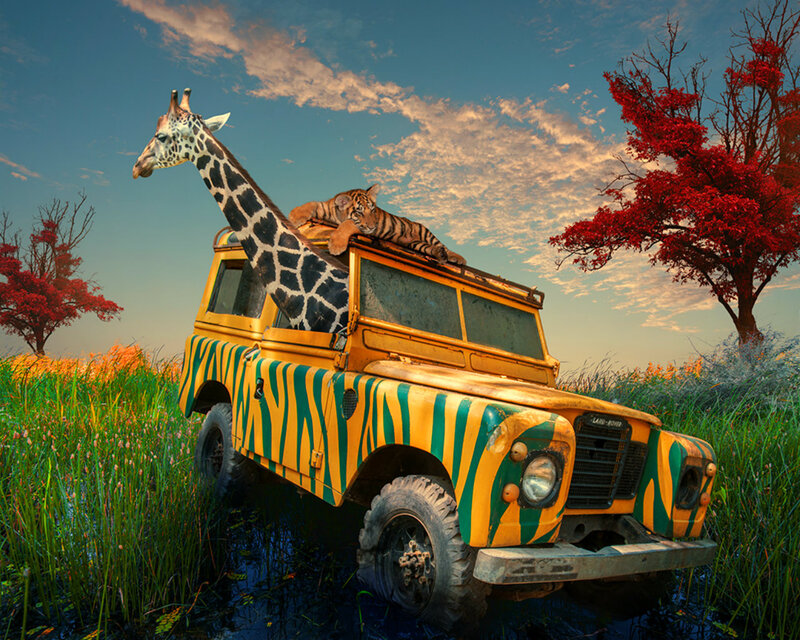 Giraffe and Tiger on Jeep