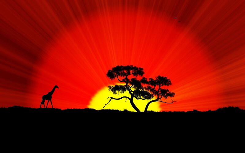 Giraffe and Tree Silhouette