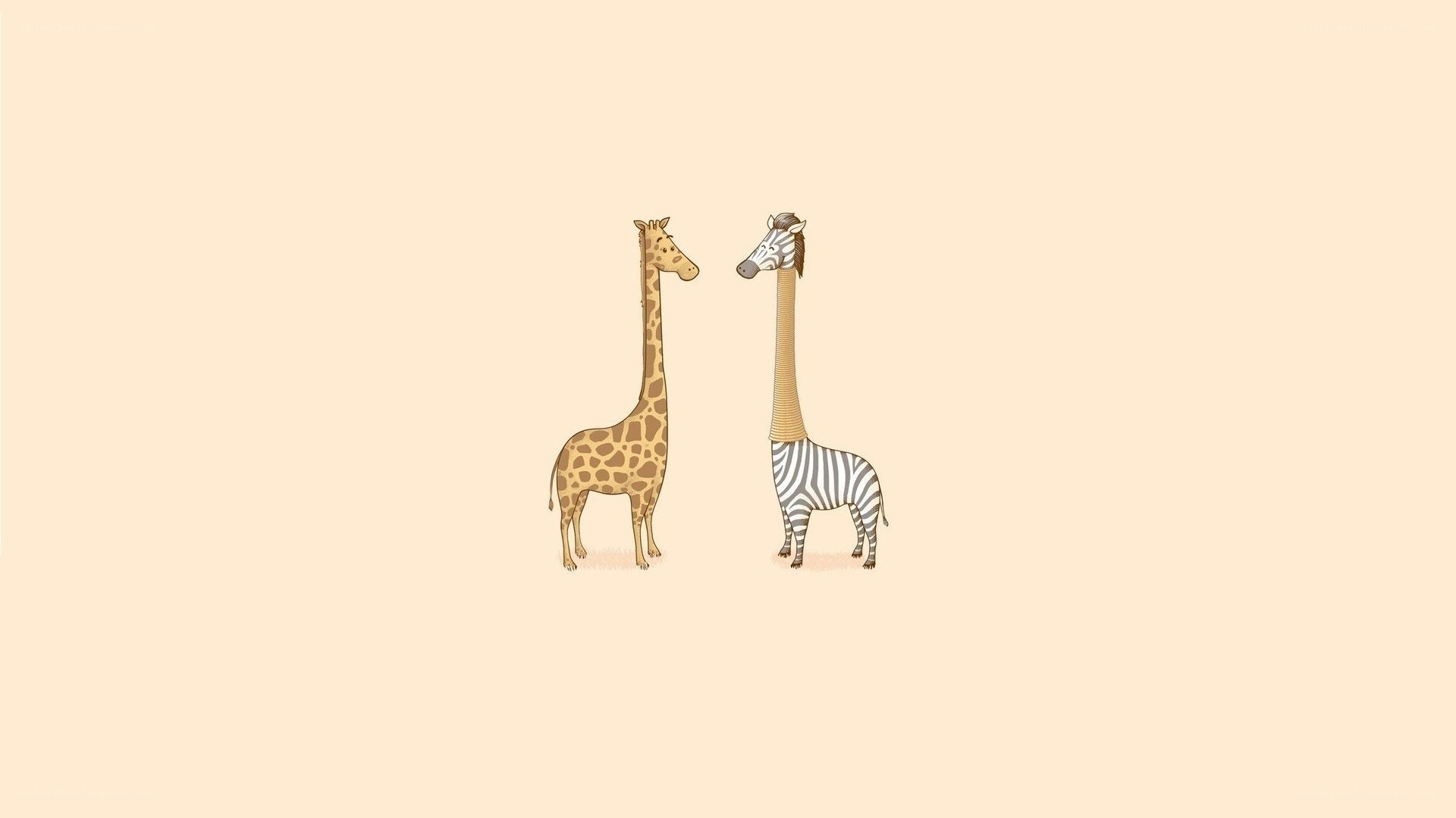 giraffe and zebra illustration