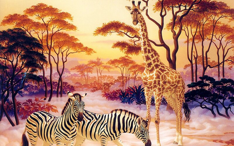 Giraffe and Zebras