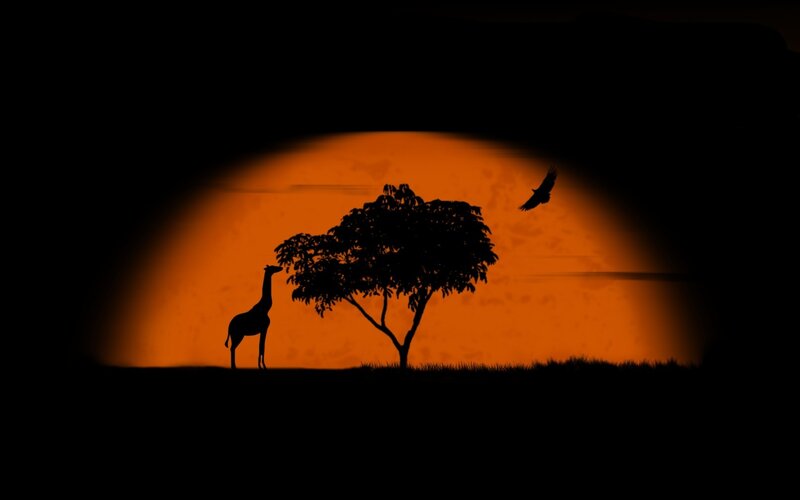 Giraffe at sunset silhouette