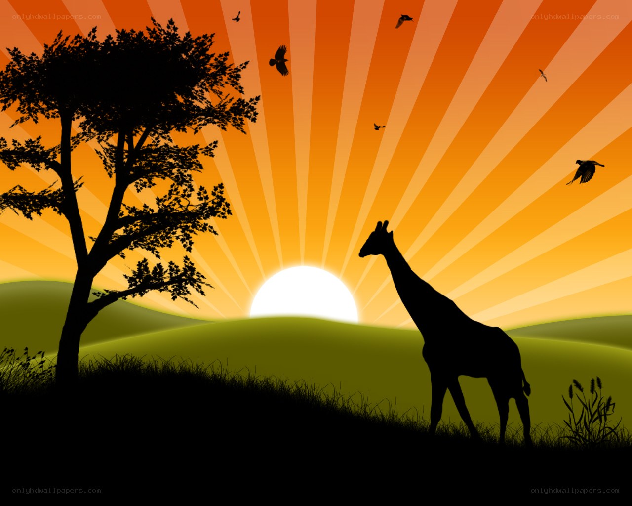 Giraffe at sunset silhouette