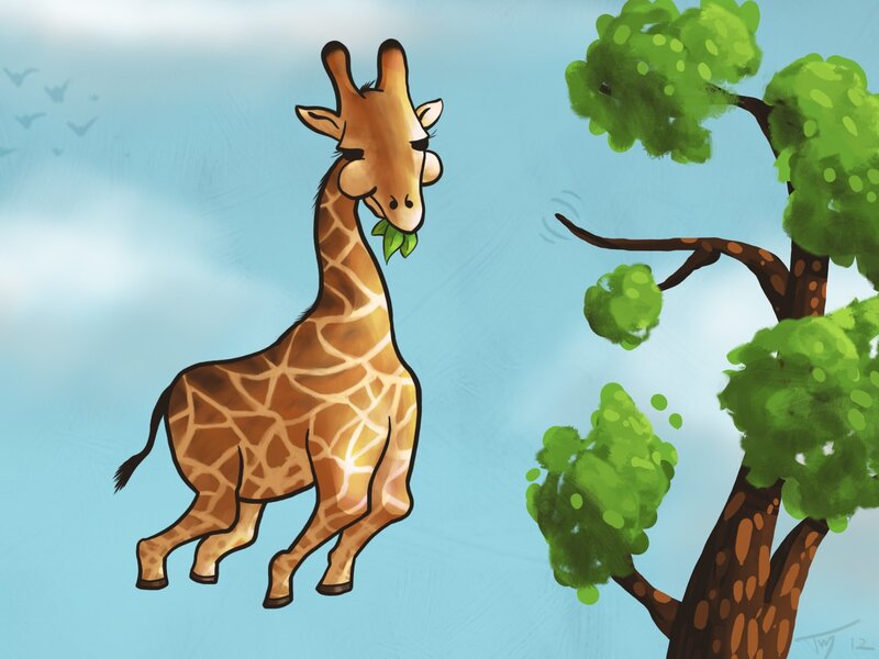 giraffe eating leaves