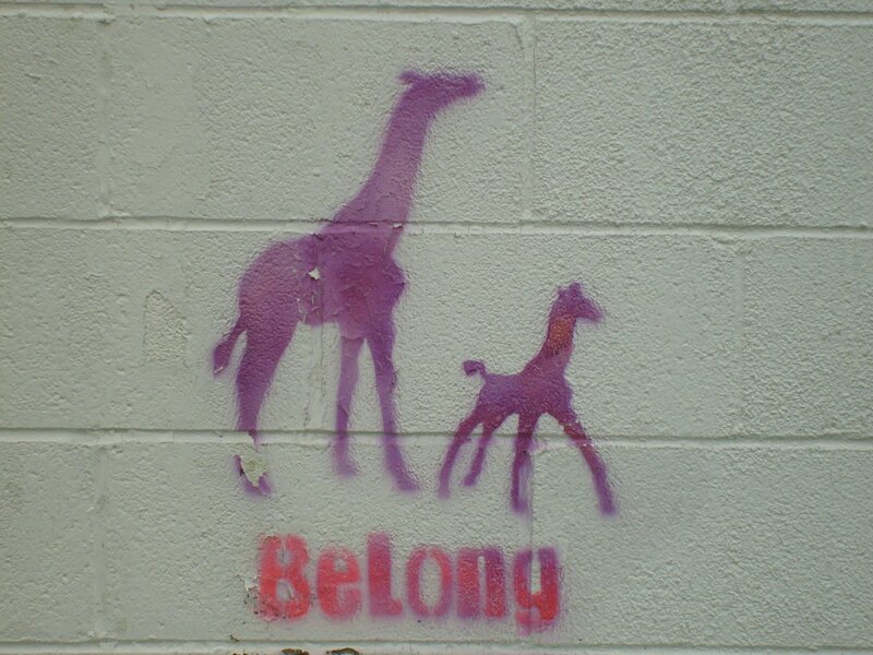 Giraffe graffiti on a wall