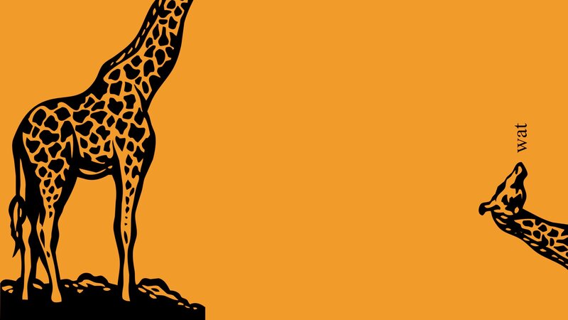 giraffe illustration with text