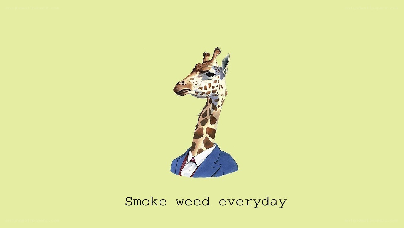 giraffe in a suit