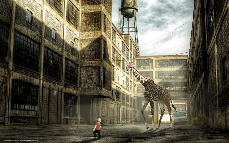 Giraffe in an industrial alley