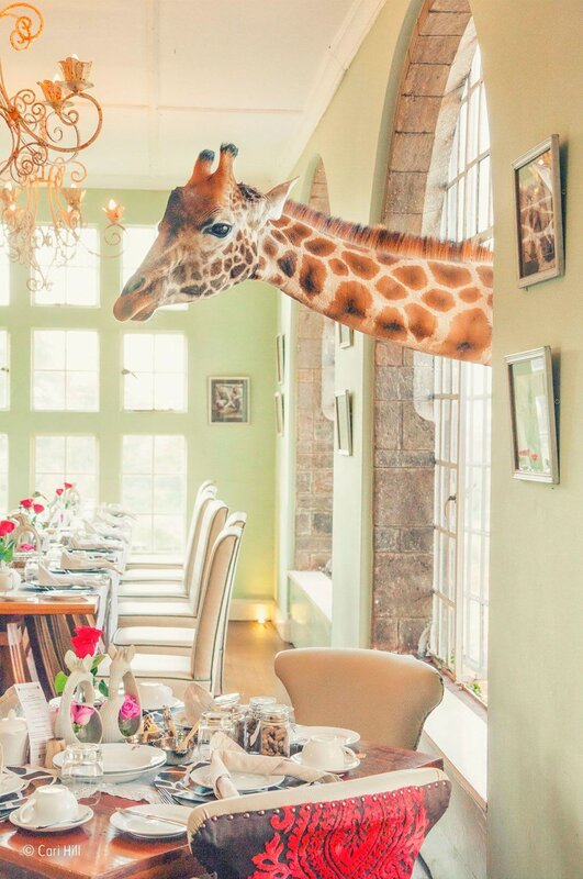 Giraffe in Dining Room