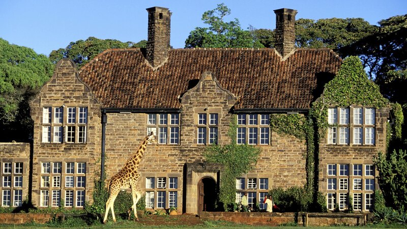 Giraffe in front of stone building