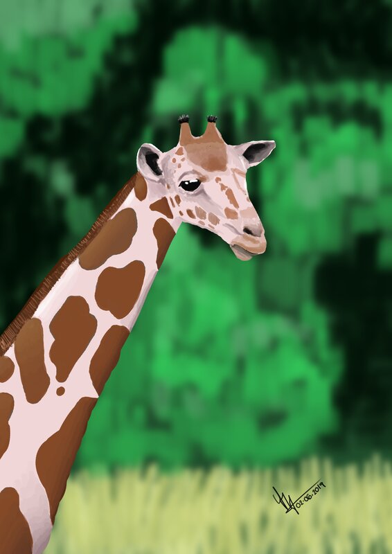 Giraffe in Green Forest