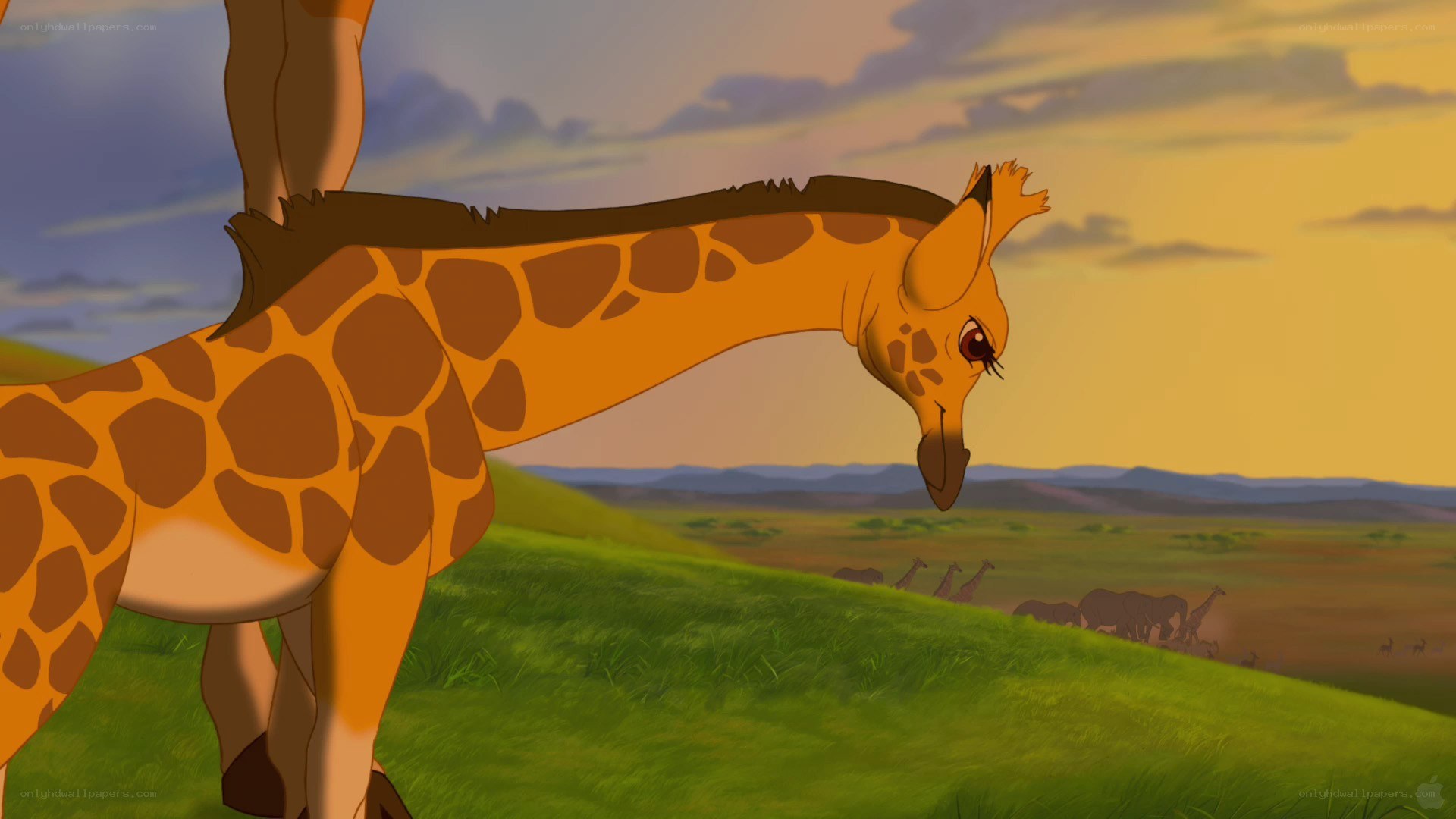 giraffe in savanna at sunset