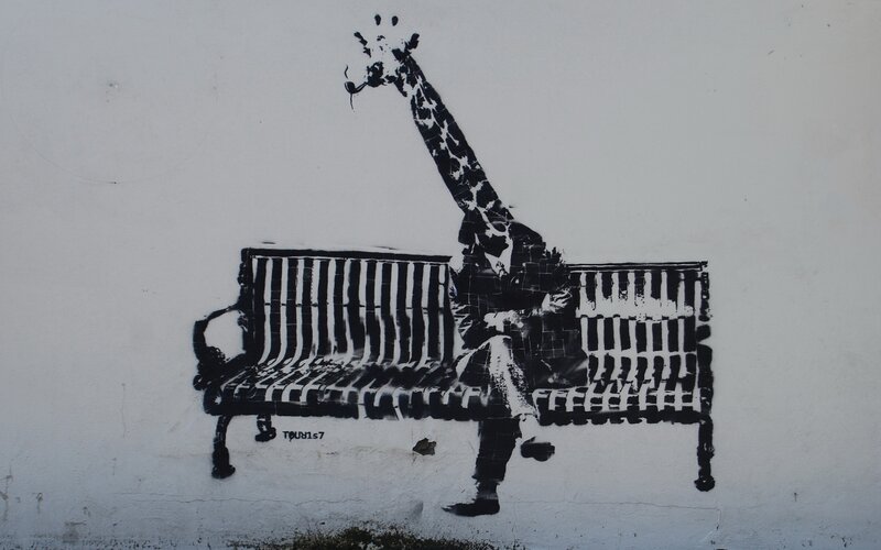 Giraffe on a bench