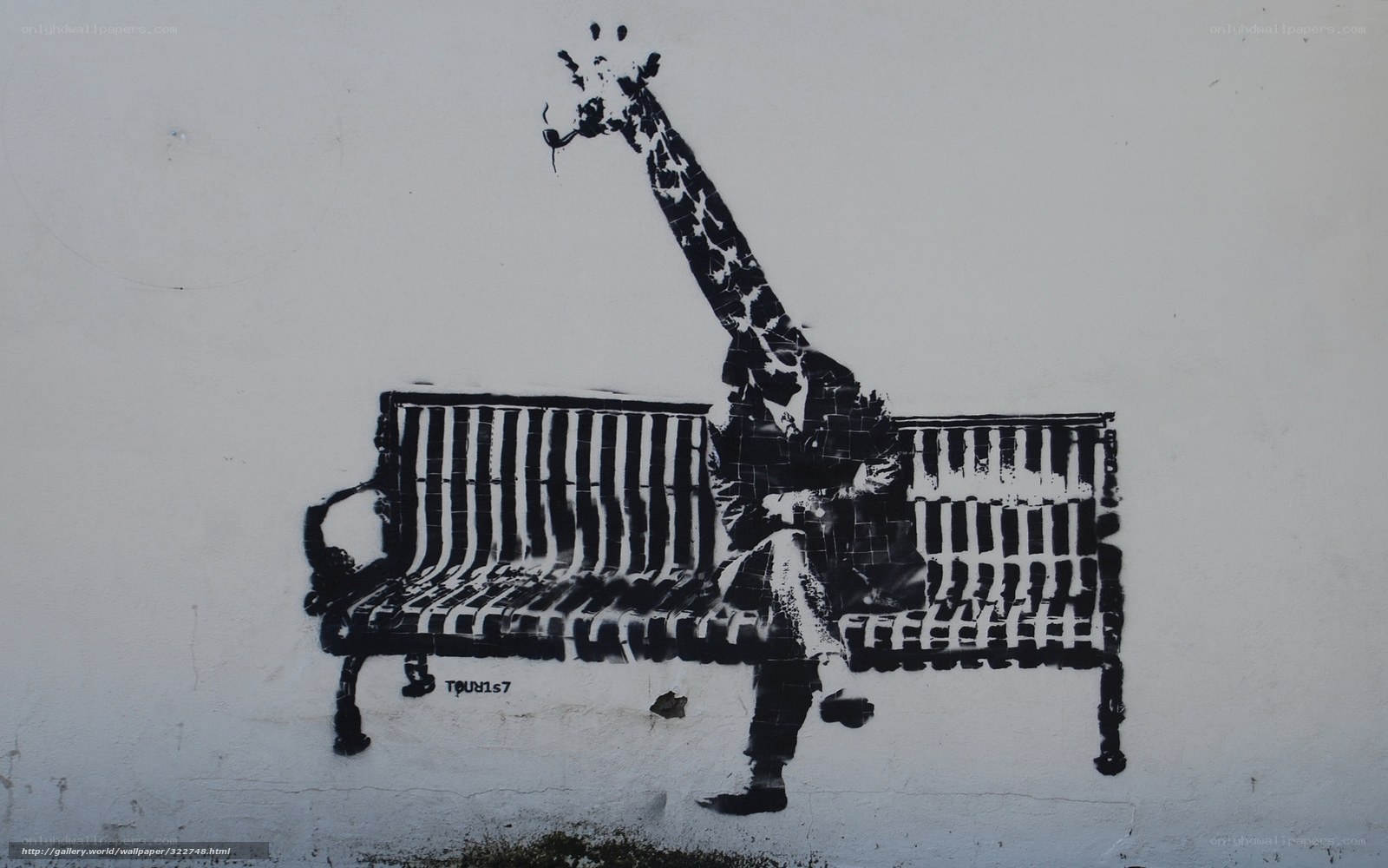 Giraffe on a bench