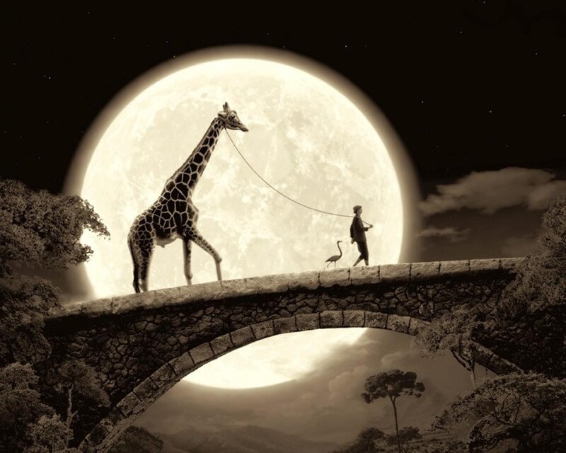 Giraffe on a moonlit bridge
