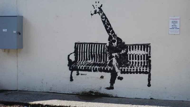Giraffe on Bench