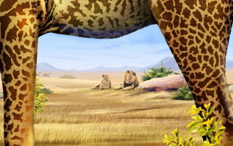 Giraffe's view of lions