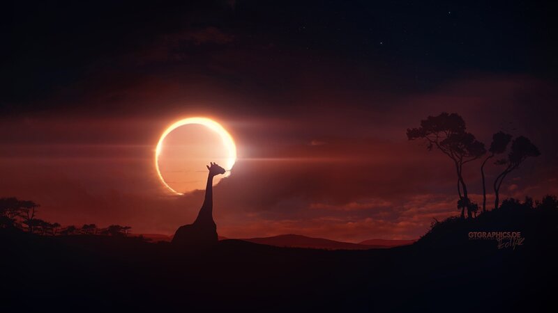 Giraffe Silhouette at Eclipse — Red, Dramatic