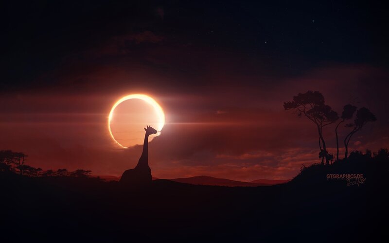 Giraffe Silhouette at Eclipse — Red
