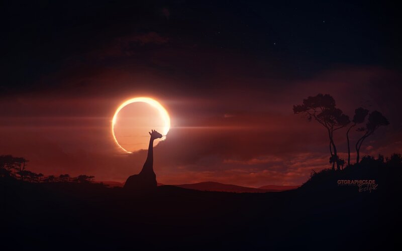 Giraffe Silhouette at Eclipse