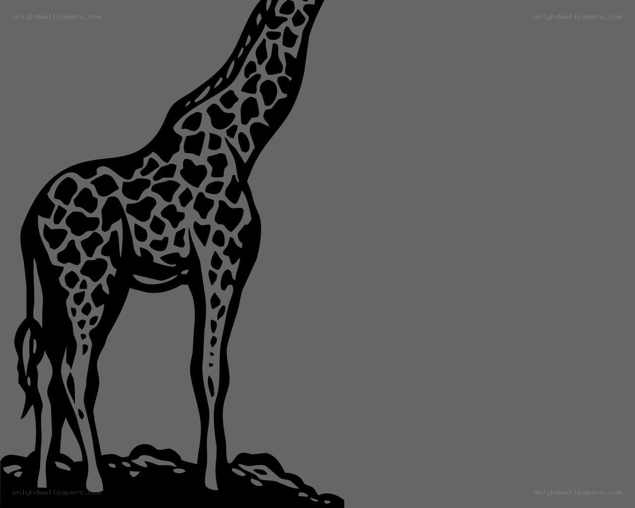 giraffe silhouette illustration