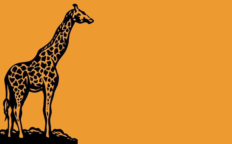 giraffe silhouette on orange