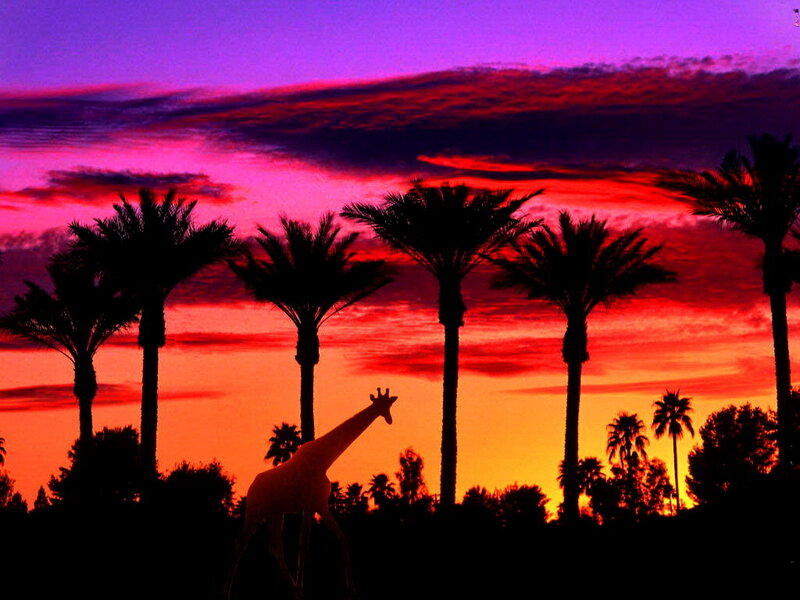 Giraffe Silhouette — Purple