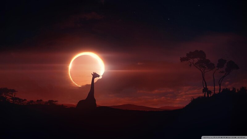 Giraffe Silhouette — Red, Dramatic, Sunset, Digital Art