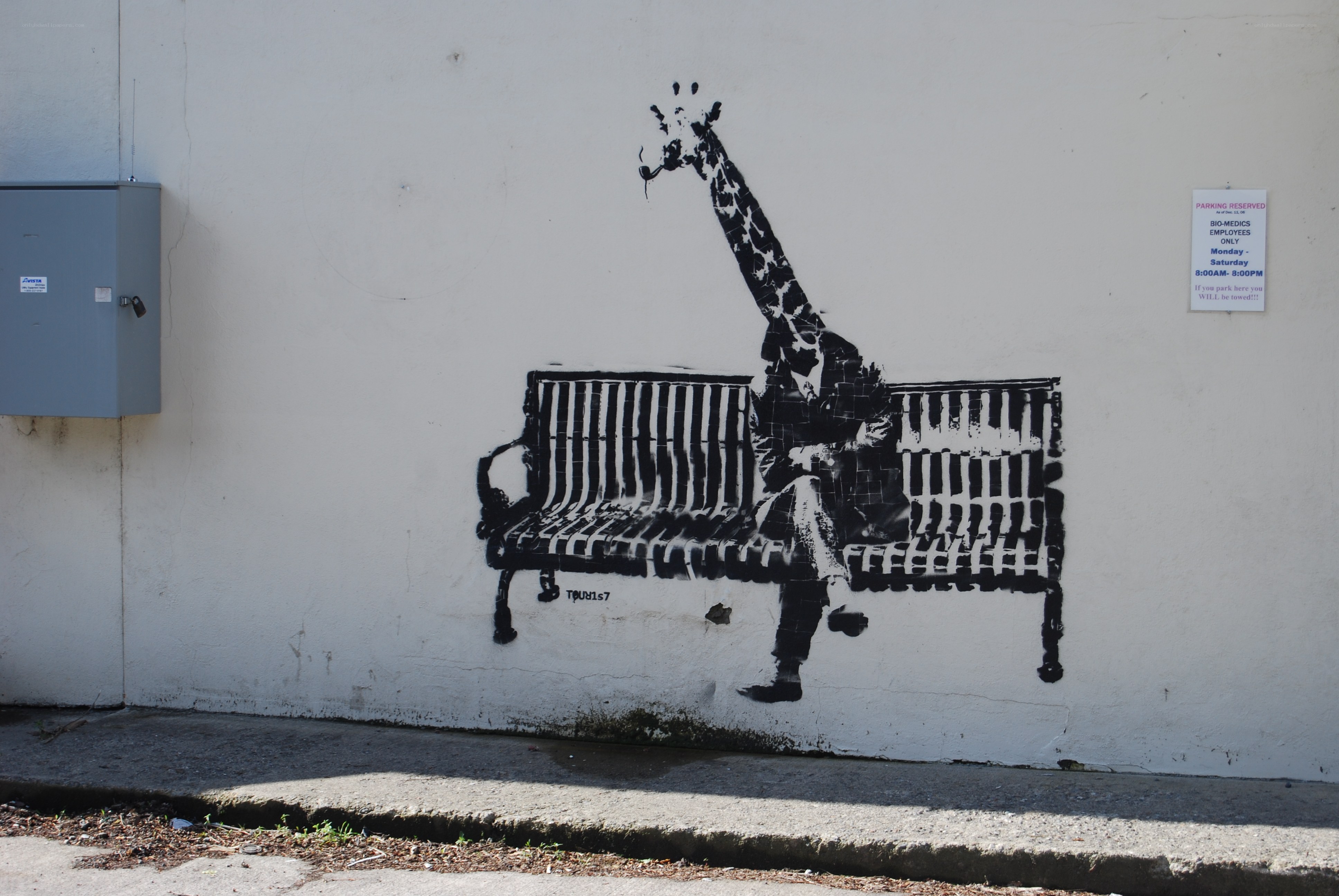 Giraffe street art mural