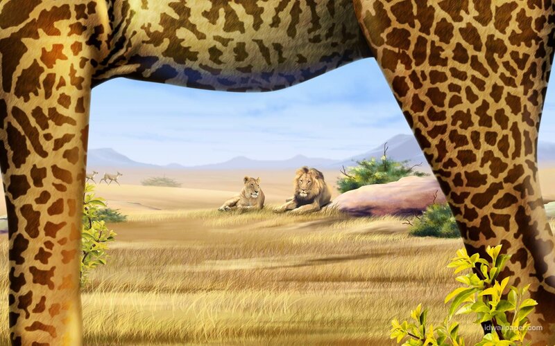 Giraffe view of lions