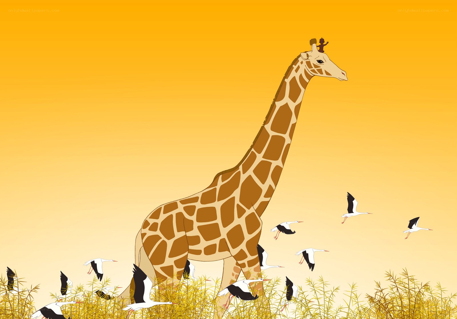 giraffe with birds at sunset