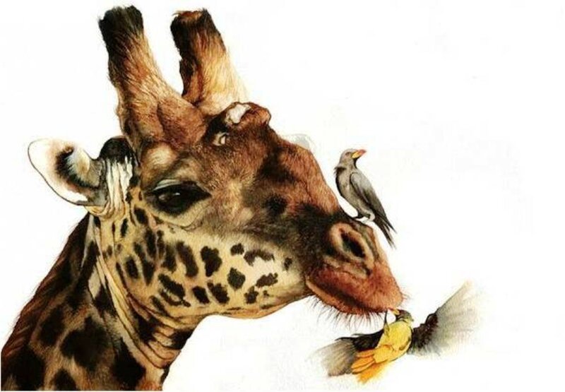 Giraffe with Birds — Brown