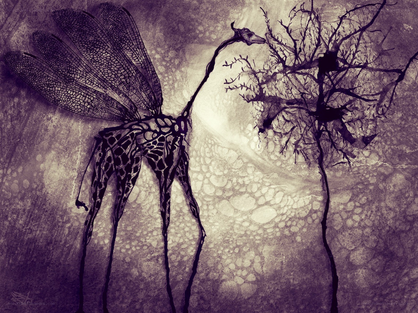 giraffe with dragonfly wings