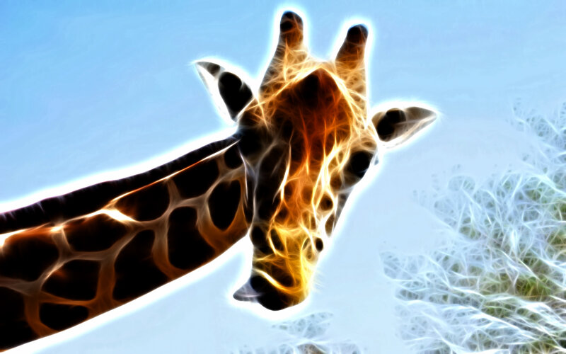 Giraffe with glowing effect