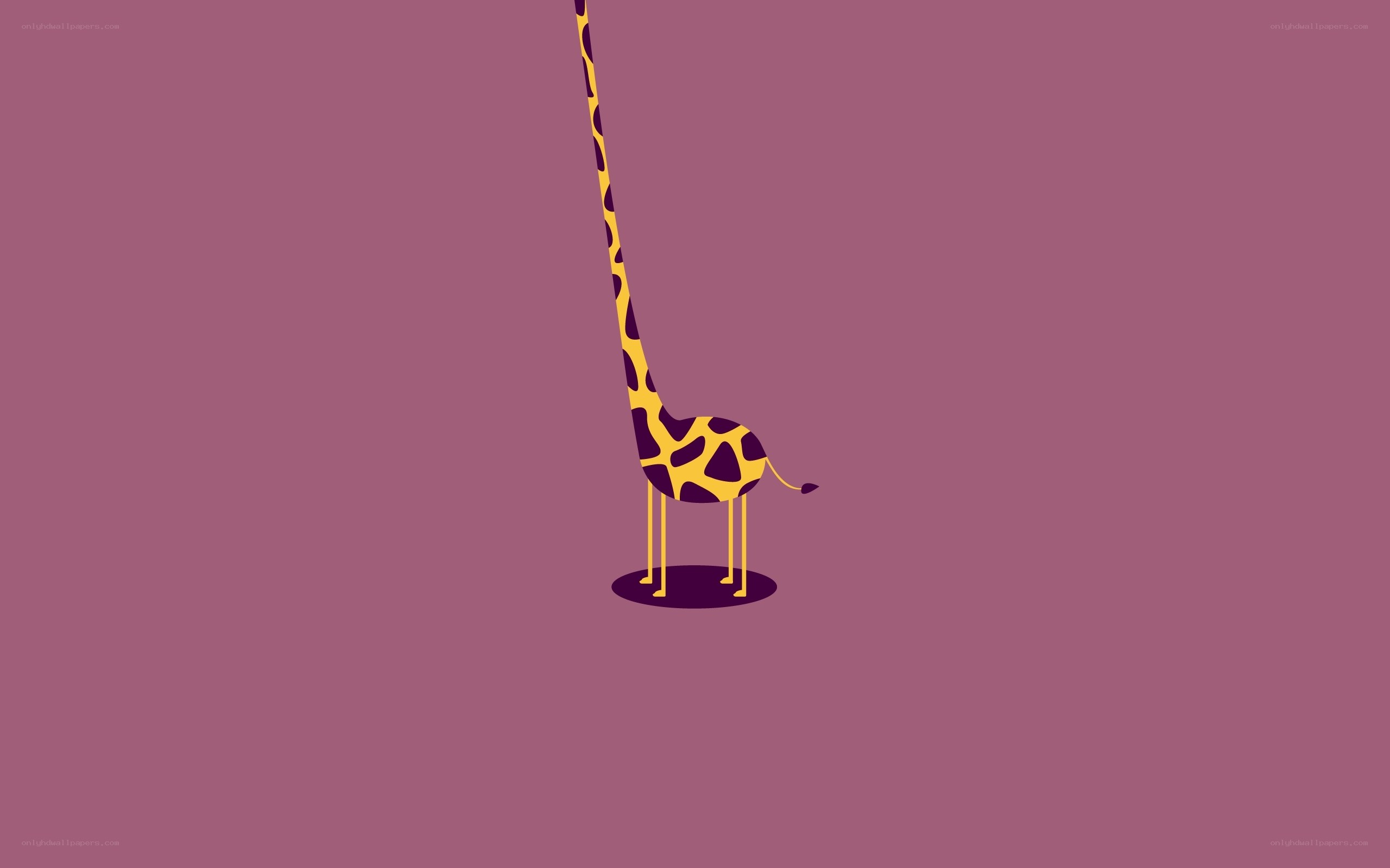 Giraffe with long neck