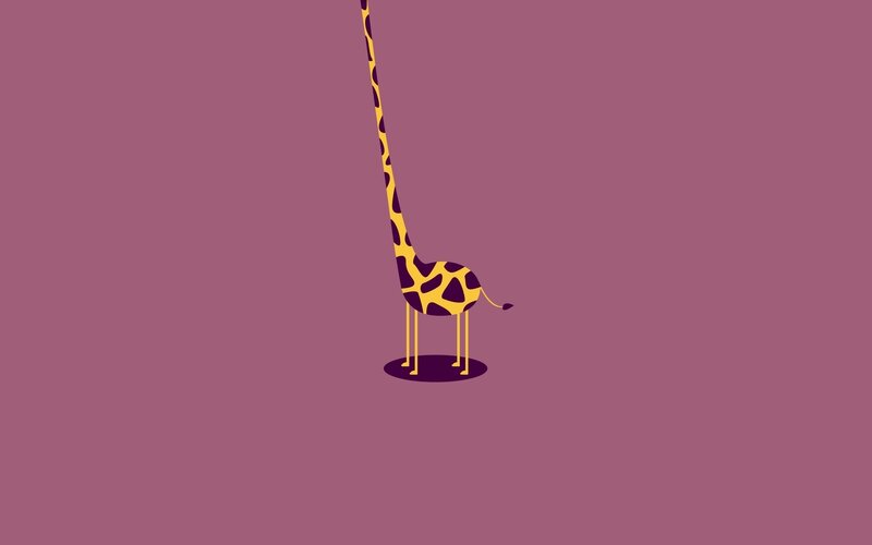 Giraffe with long neck