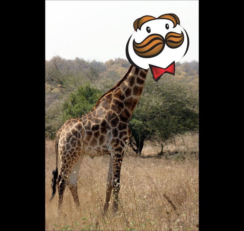 giraffe with pringles mascot