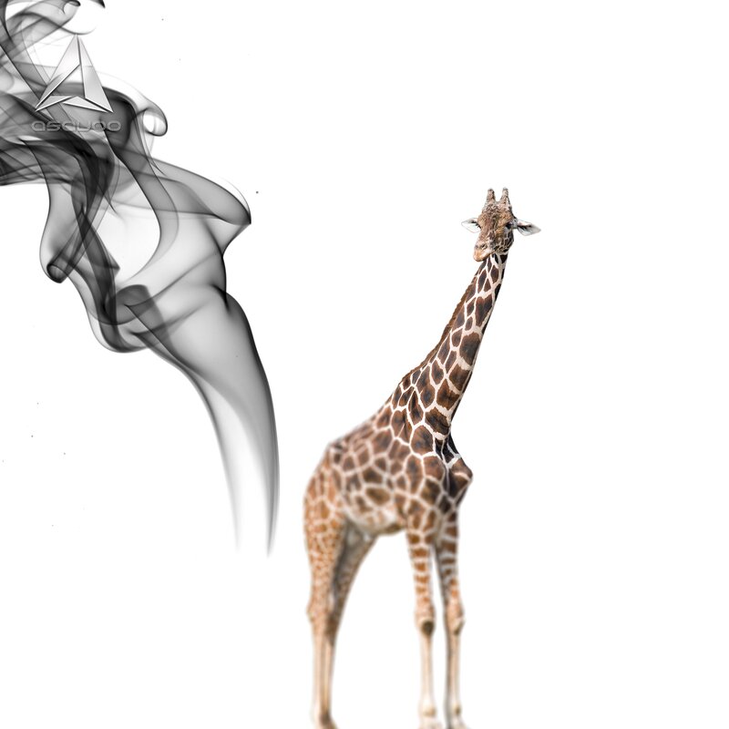 giraffe with smoke swirl