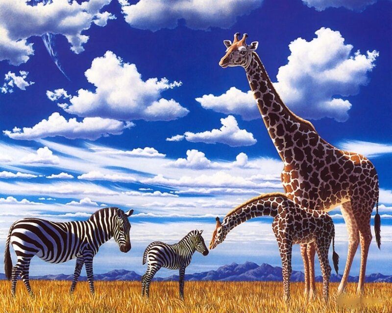 Giraffes and zebras in savanna