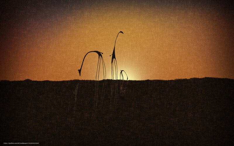 Giraffes at Sunset — Orange, Serene, Illustration