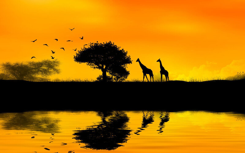 Giraffes at Sunset — Orange, Serene, Photograph