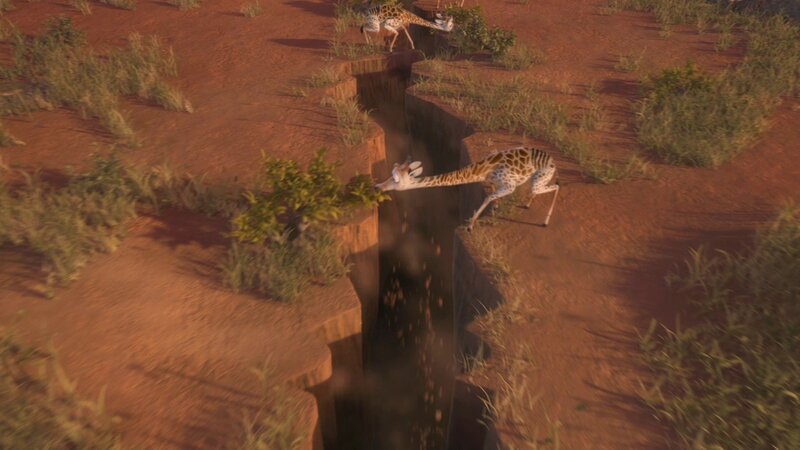Giraffes Crossing a Ravine