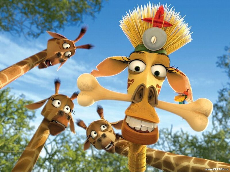 Giraffes in a jungle scene