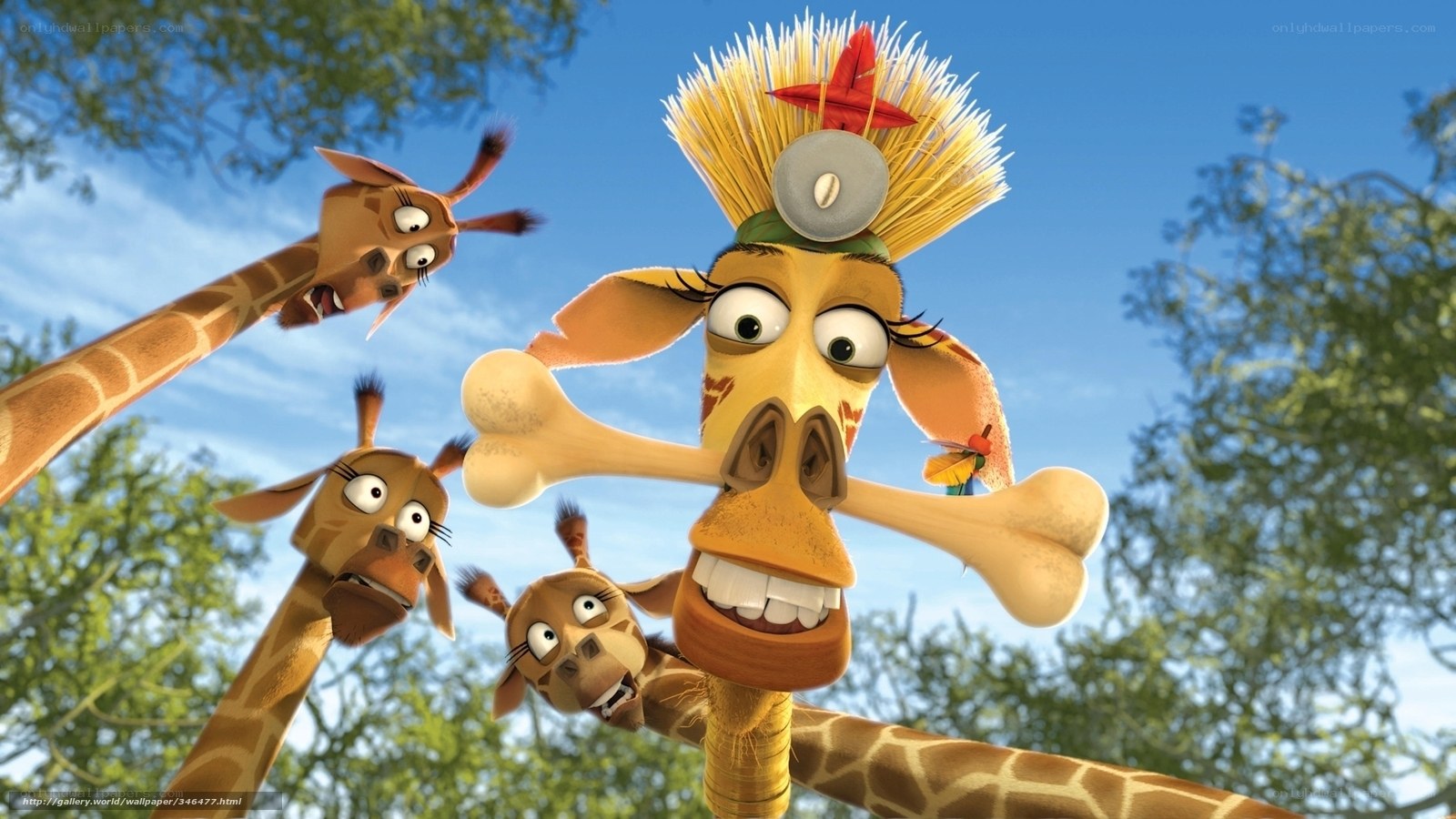 Giraffes in a playful scene