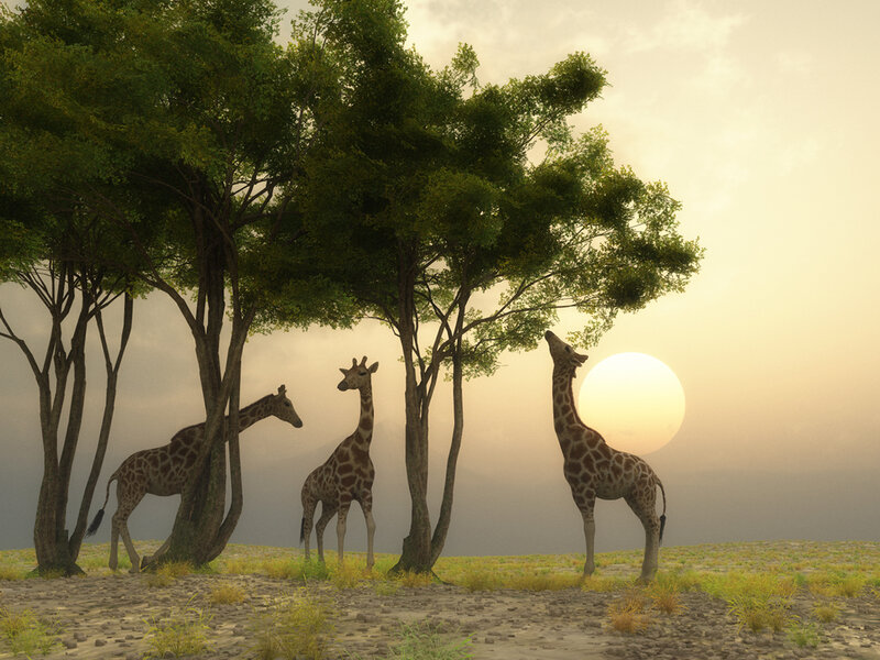 Giraffes in Savanna — Green, Serene, Sunset, 3d Render