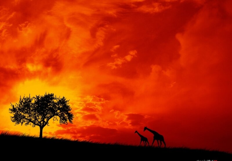 Giraffes on a Hill — Red