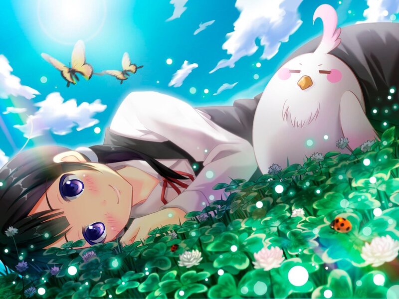 Girl and bird in a field