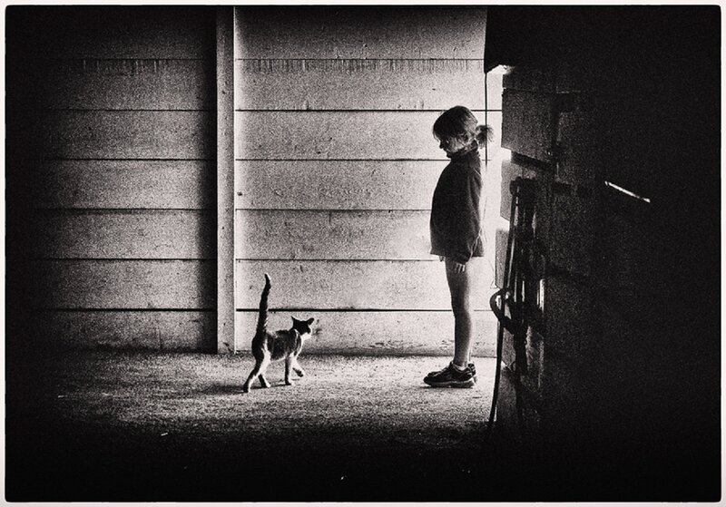 Girl and Cat in Barn