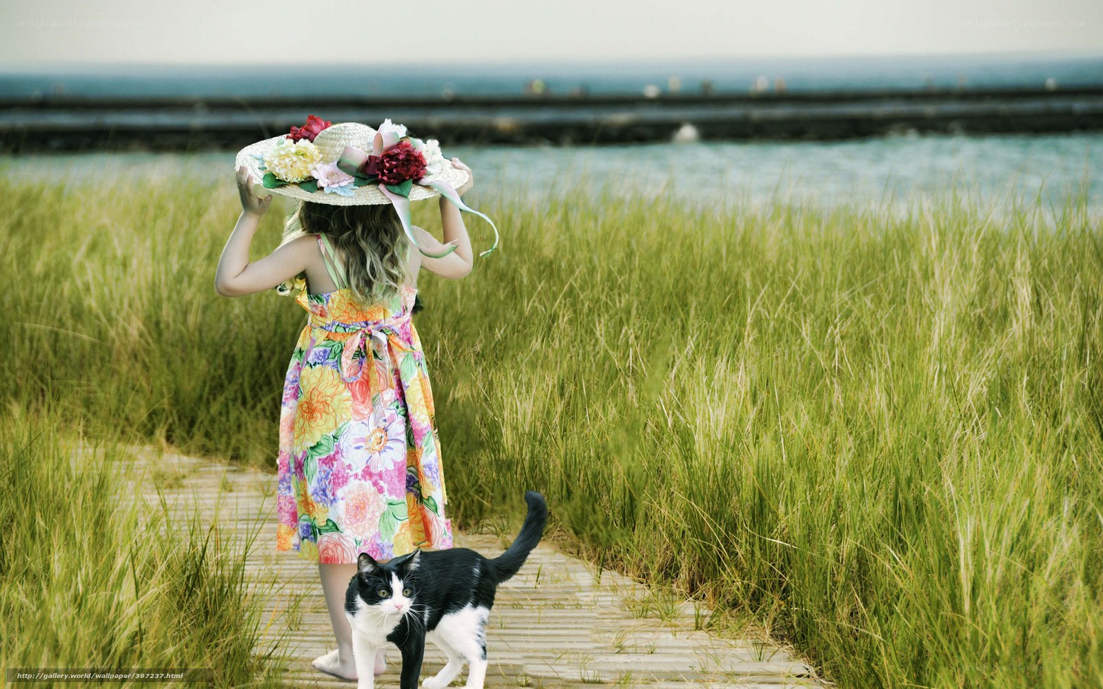 Girl and cat on a boardwalk